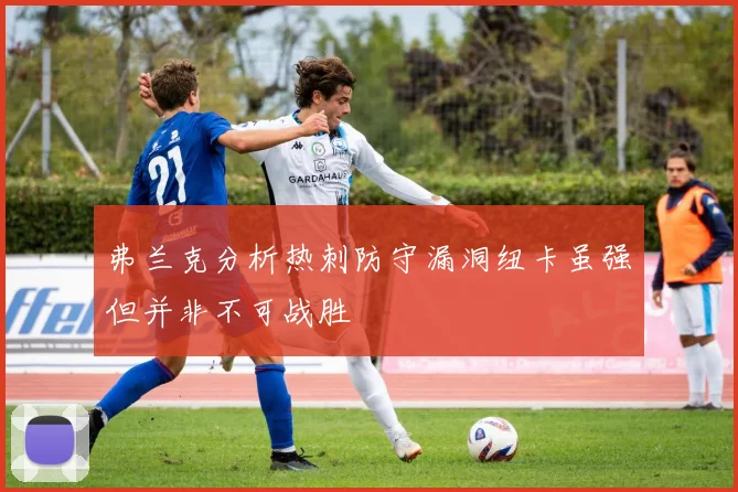 弗兰克分析热刺防守漏洞纽卡虽强但并非不可战胜