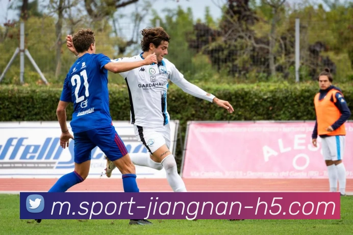 江南体育平台生态图