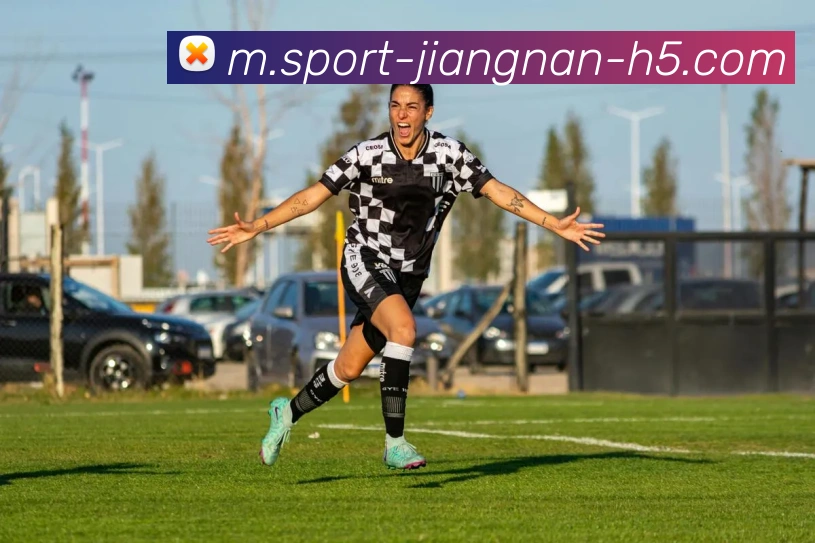 江南体育APP 封面图